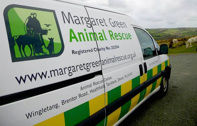 Margaret Green Animal Rescue