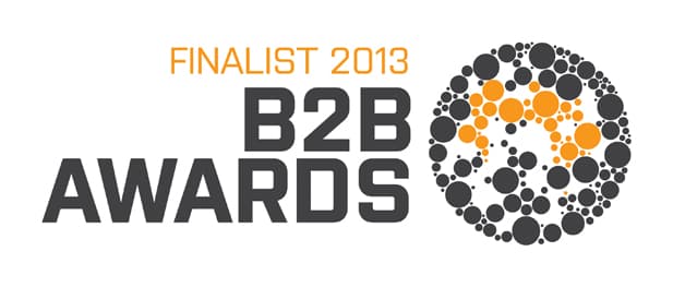 B2B Marketing Awards 2013