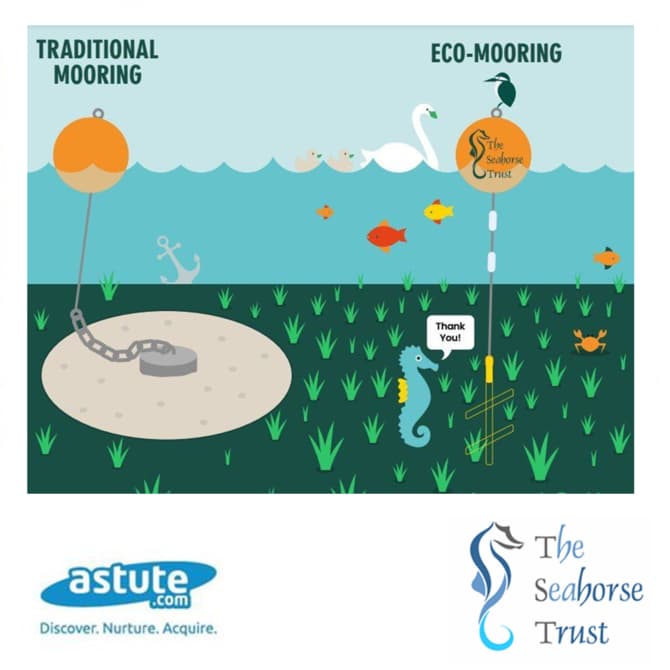 Supporting Marine Conservation